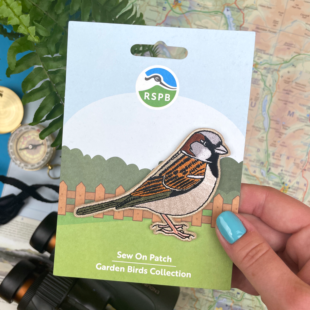 Pawprint Family – wholesale Patch – House Sparrow Sew On Patch2