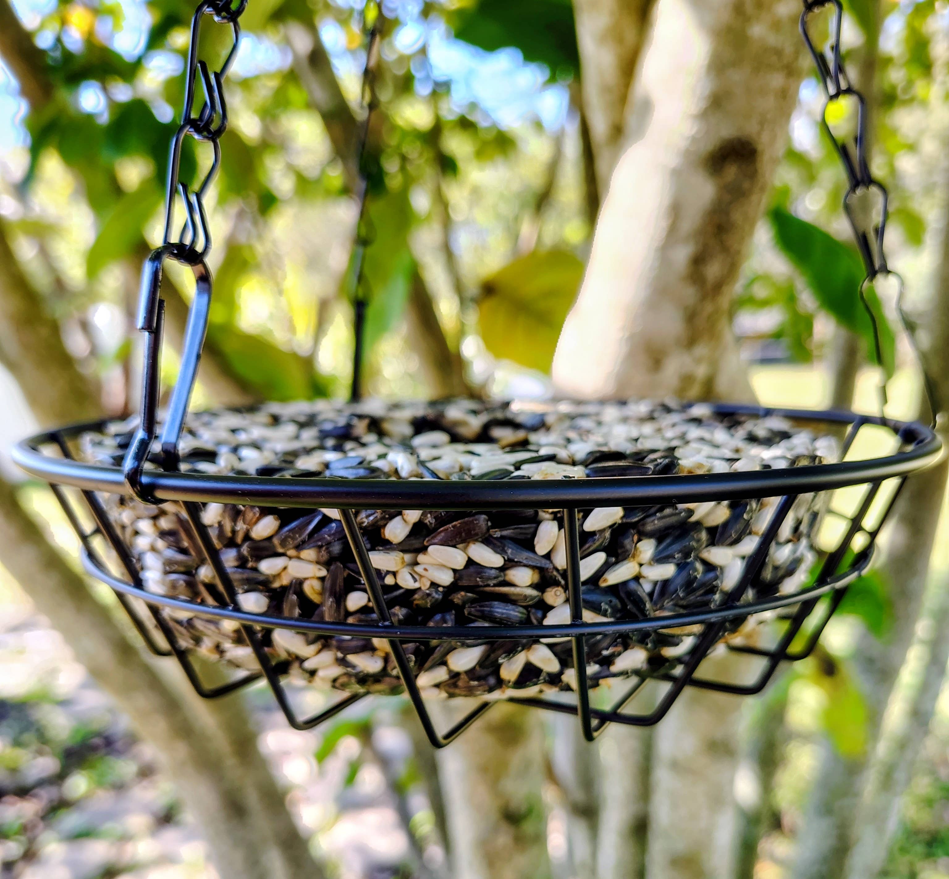 Backyard Tailz - Wholesale Bird Feeder - Birdseed Wreath (Cardinal Snack)3