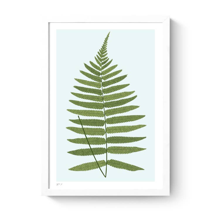 Lámina artística Fern I para venta al por mayor de Roo Kee Roo