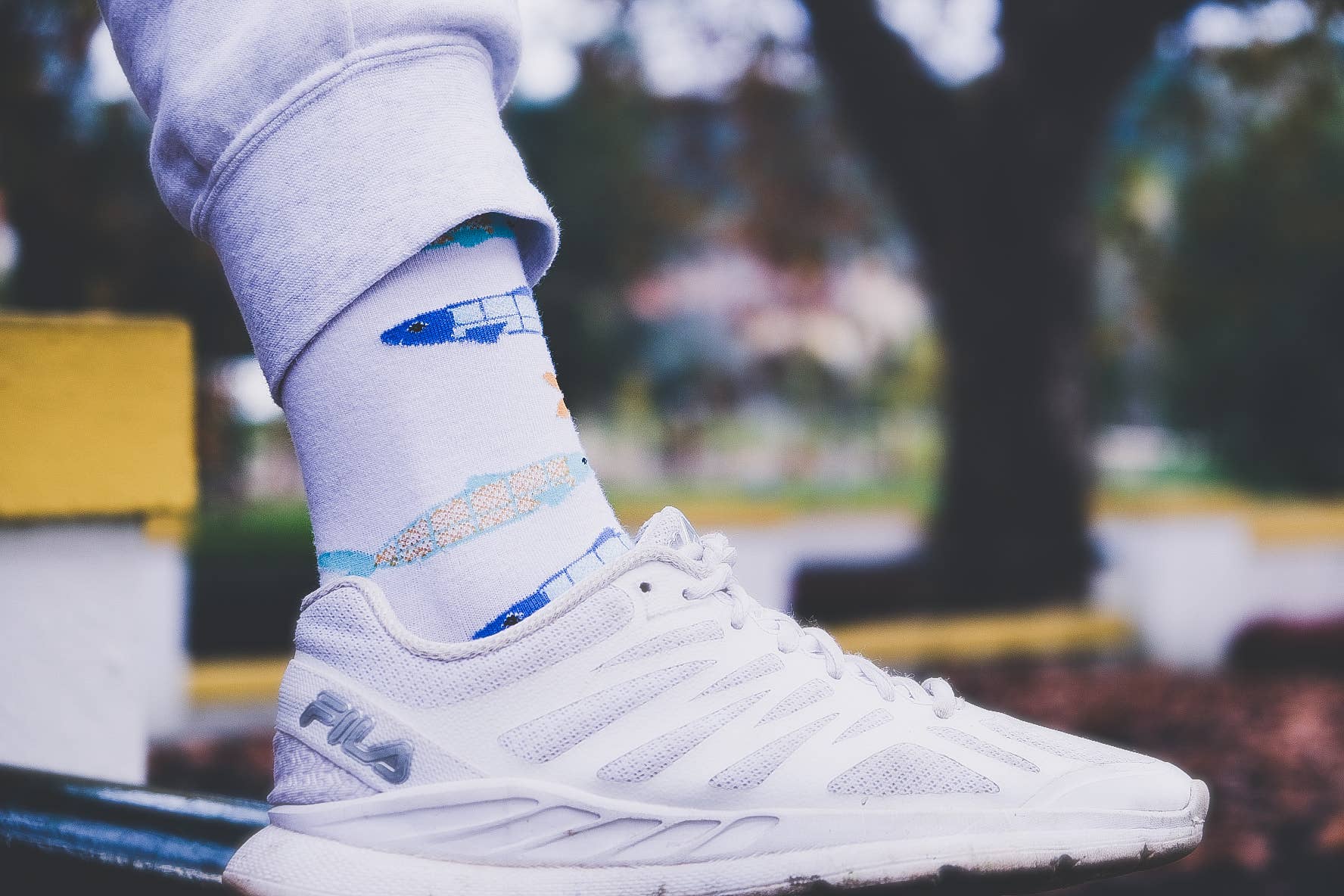 Rodilha – wholesale Strumpor - Dam – Sardine Socks (Small) - Portugality Collection (kopia)16