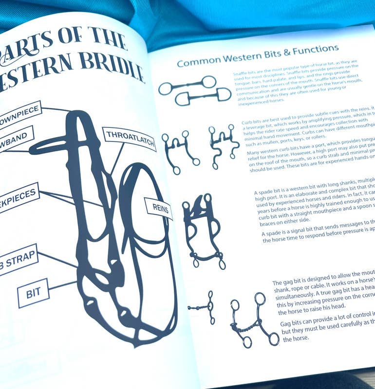 Circus Unicorn Shop - Wholesale Sports & Recreation Book - Western Riding Lessons & Activities4