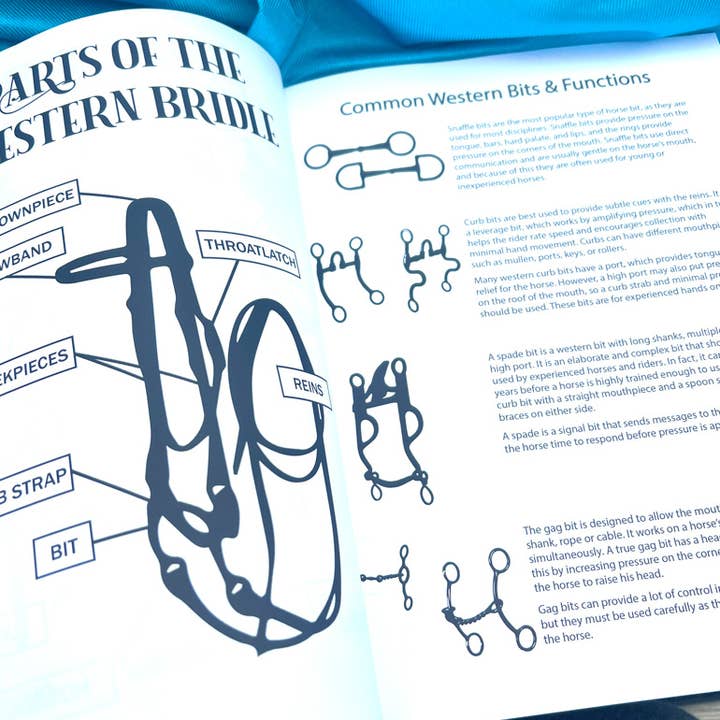 Circus Unicorn Shop - Wholesale Sports & Recreation Book - Western Riding Lessons & Activities4