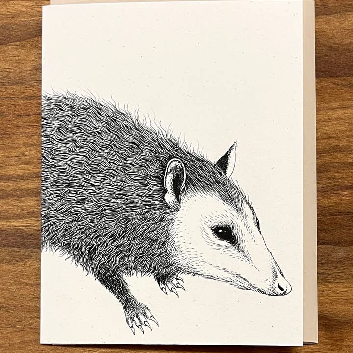 Fox & Comet - Wholesale Stationery/Notecard Set - Animal Note Card - Possum
