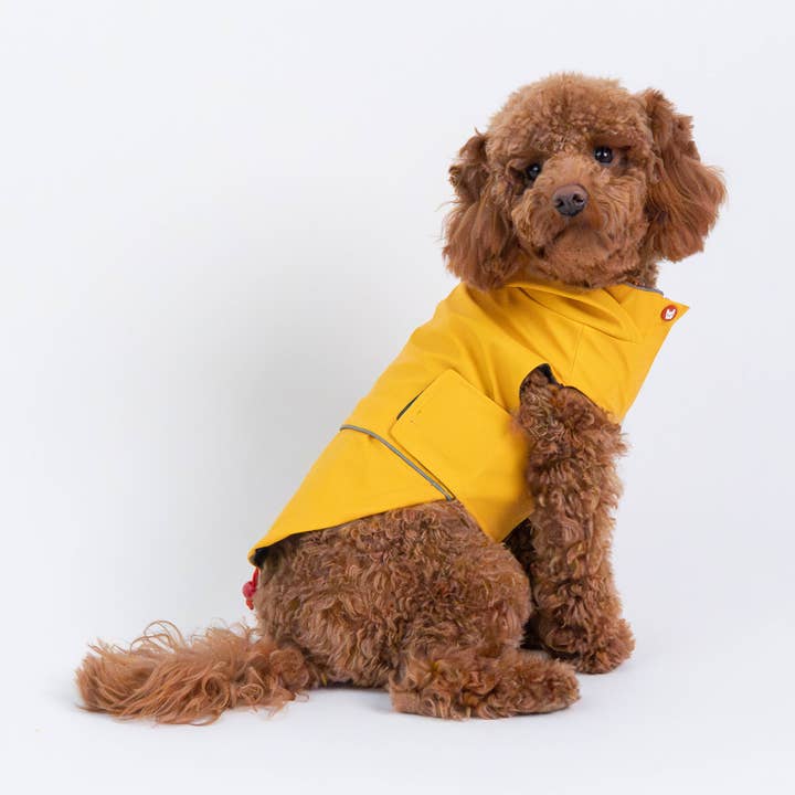 Aden 2.0 Imperméable pour chien Jaune Élégant, Imperméable, Réglable, avec passepoil réfléchissant et patch d'alerte solaire pour la vente par Silver Paw