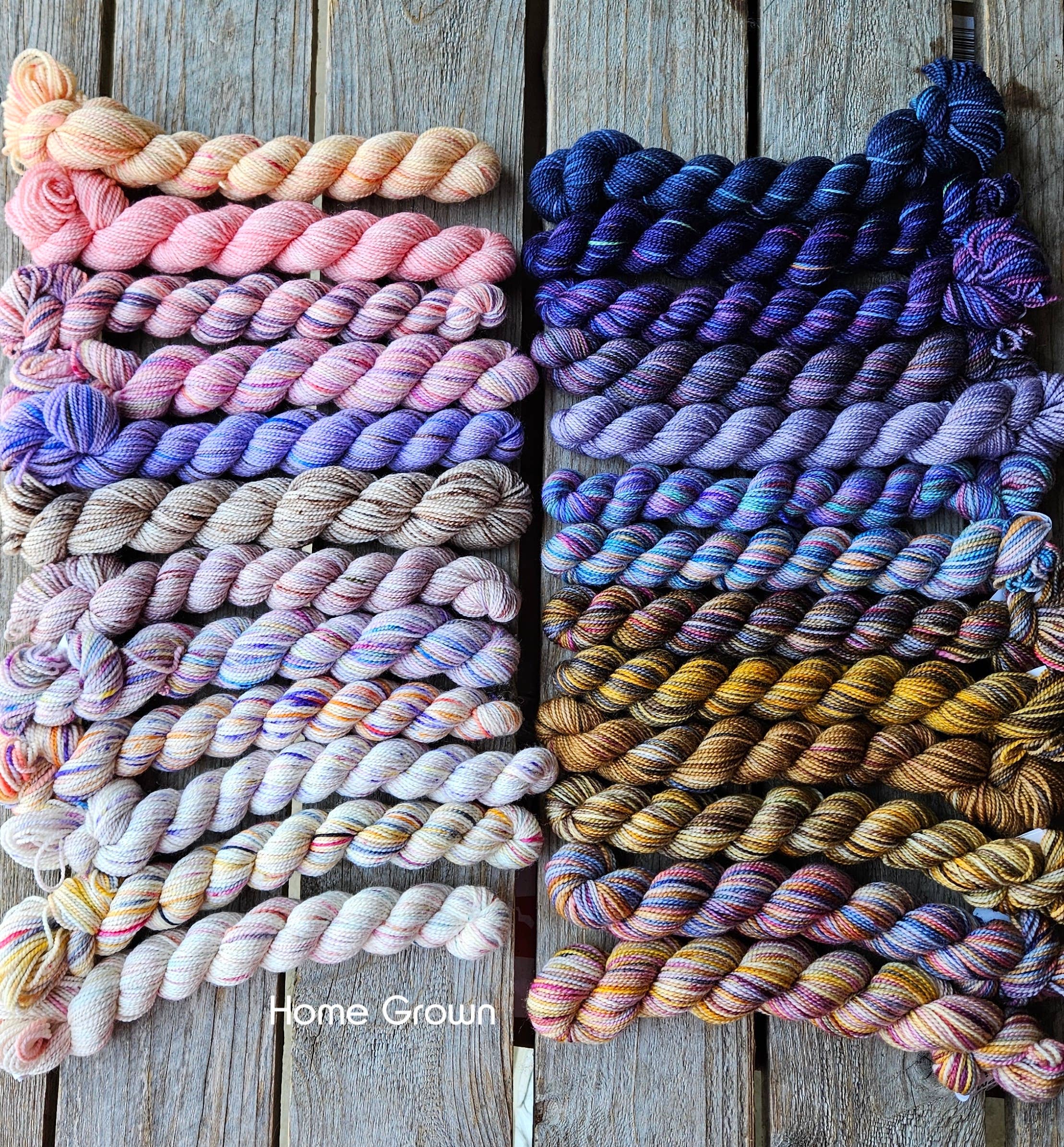 Koigu Wool Designs - Wholesale Yarn - Festive 25 day KPPPM Pencil pack31