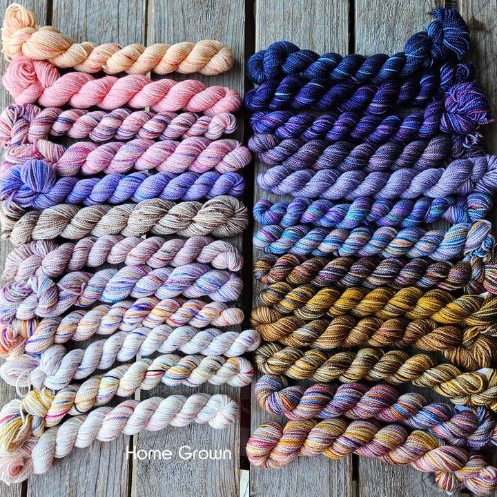 Koigu Wool Designs - Wholesale Yarn - Festive 25 day KPPPM Pencil pack31