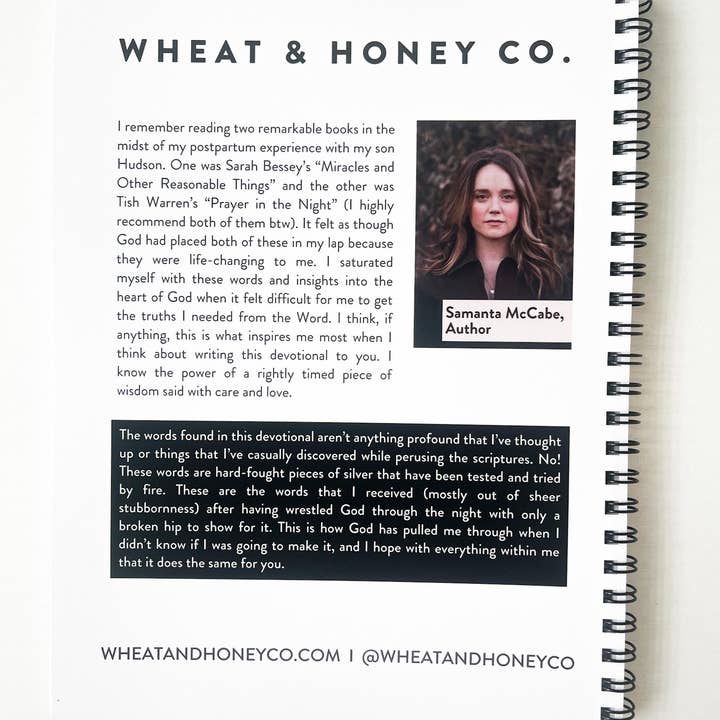 Wheat and Honey Co. - Wholesale Religion Book - Washed: A Motherhood Devotional about Postpartum1