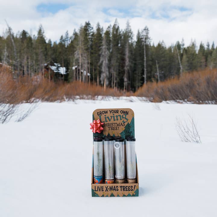 The Jonsteen Company - Wholesale Retailer Display - Home & Living - Christmas Tree Collection | 12 Live Trees w/ Display7