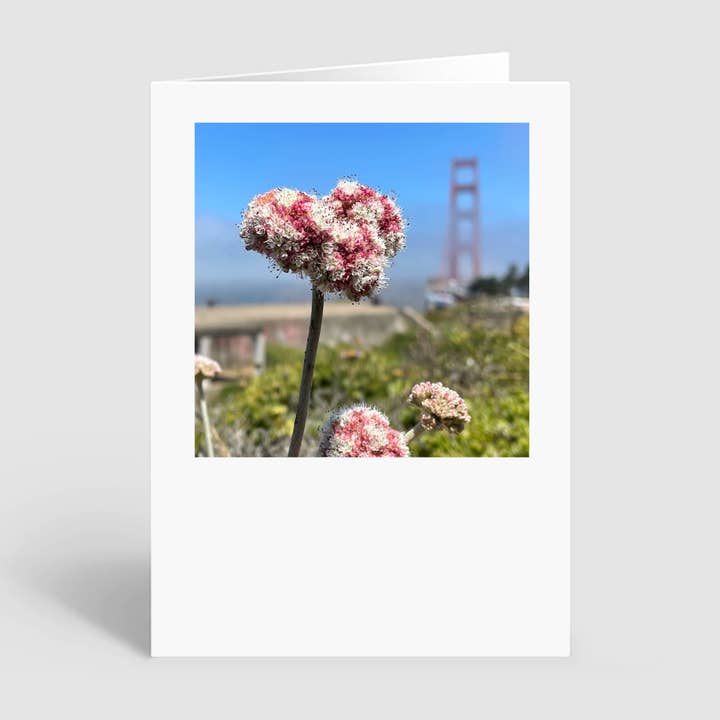 Greeting Card of a Coastal Buckwheat and Golden Gate Bridge for wholesale by HeartSFound