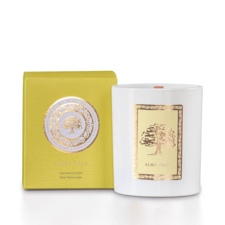 Perfumes Jimmy Boyd - Wholesale Jar/Filled Candle - Alma Tajy · Yellow Lapacho