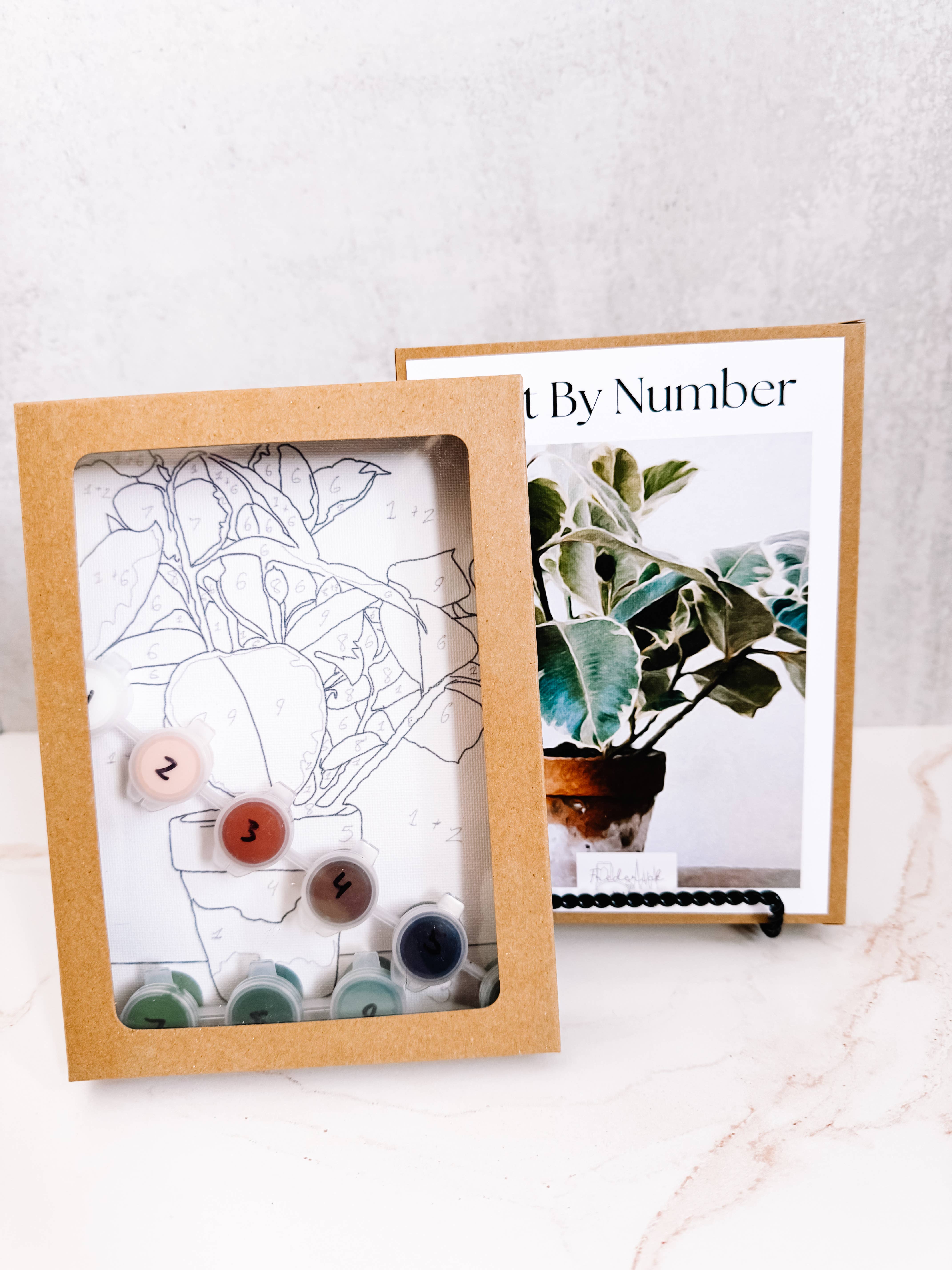 Frederick Made - Wholesale DIY Craft Kit - Plant Still Life Mini Paint By Number1