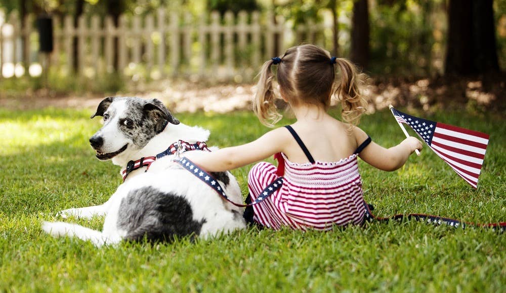 Paw Paws USA - Wholesale Pet Collar - Dog - Americana Park Dog Collar-Stars1