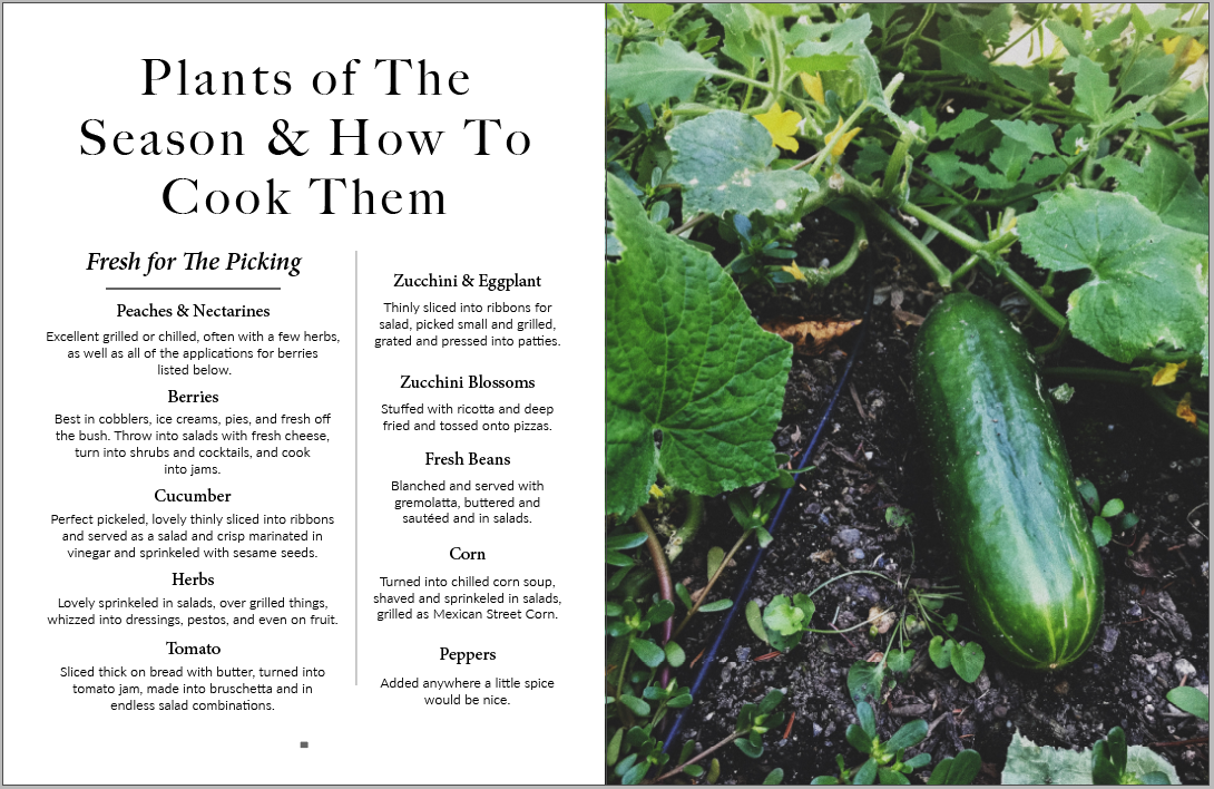 Honest Magazine - Wholesale Magazine - Summer, Plant & Prosper3