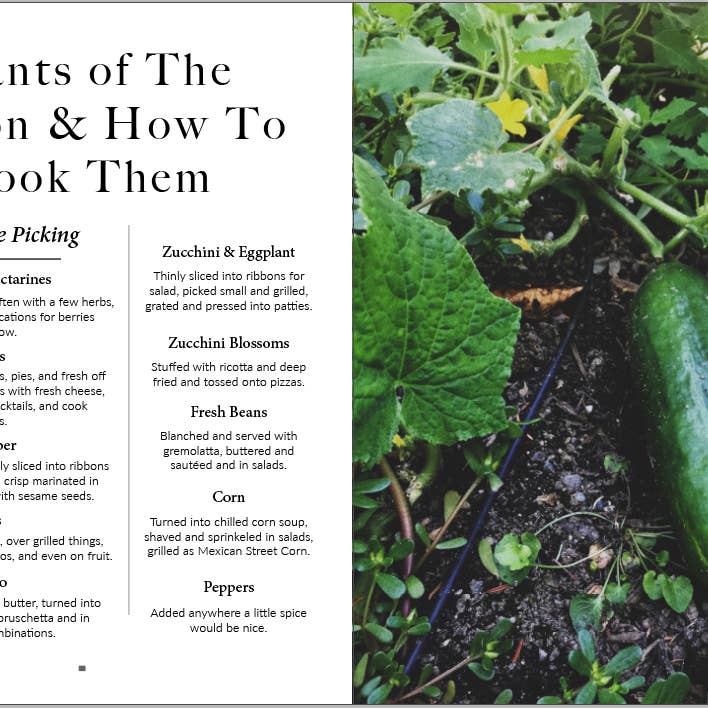 Honest Magazine - Wholesale Magazine - Summer, Plant & Prosper3