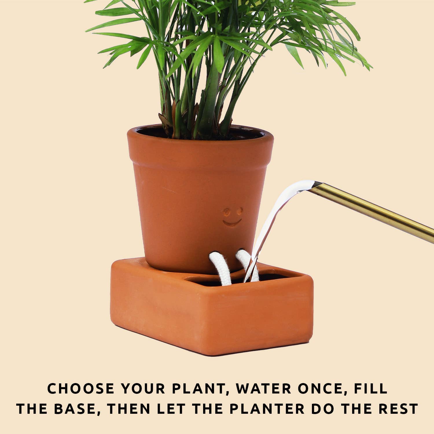 Pikkii USA - Wholesale Plant Pot - Self Care Planter | Self Watering Plant Pot | Home Accents3