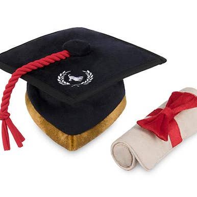 Back To School K9 Scholar Hat & Diploma Plush Dog Toy for wholesale by In Vogue Pets