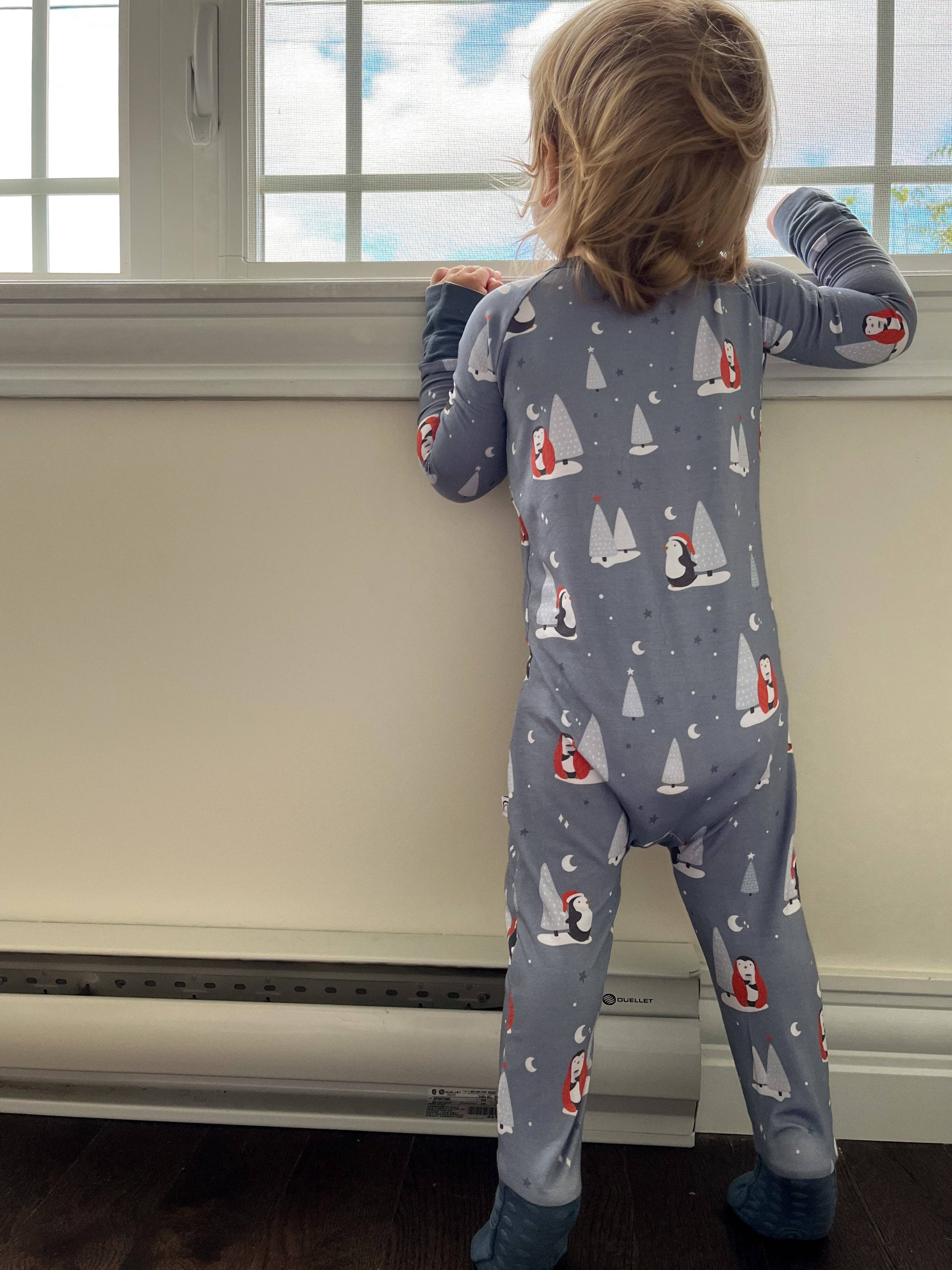 Stay Dreamy - Wholesale Jumpsuit - Baby - Snow Place Like Home- Zippy Romper5