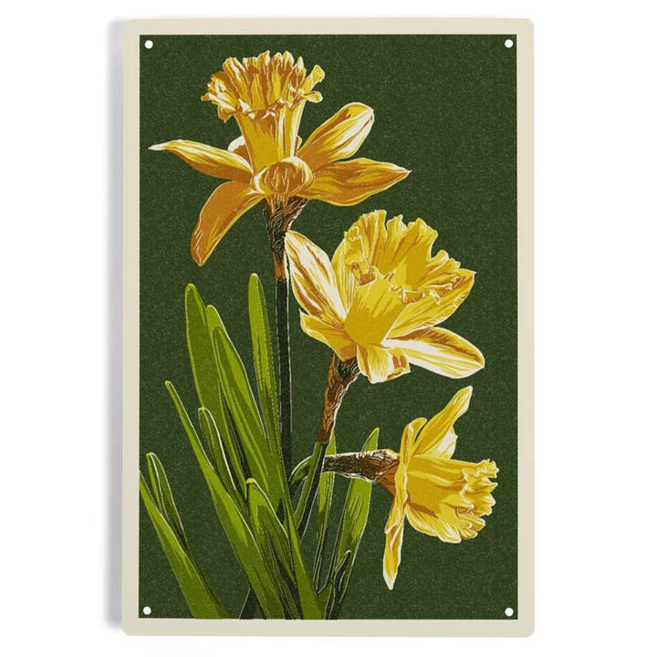 METAL SIGN ART Daffodils, Letterpress, Green Background for wholesale by Lantern Press
