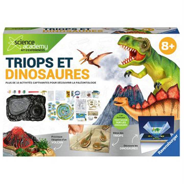 TSJJ - Vente Lot de jouets – enfant - Triops Et Dinosaures