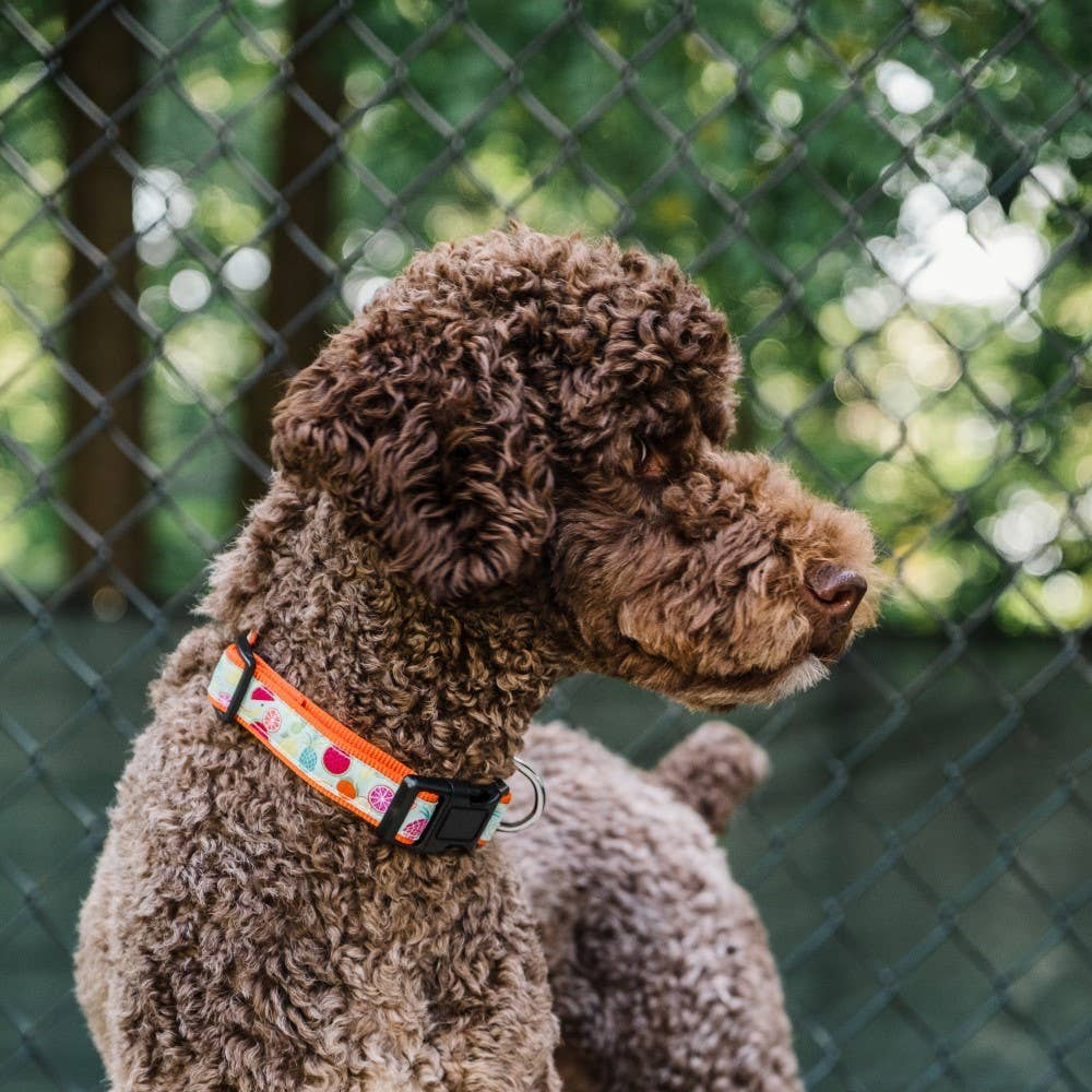 Blue Tutti Frutti Collar for wholesale on Faire3