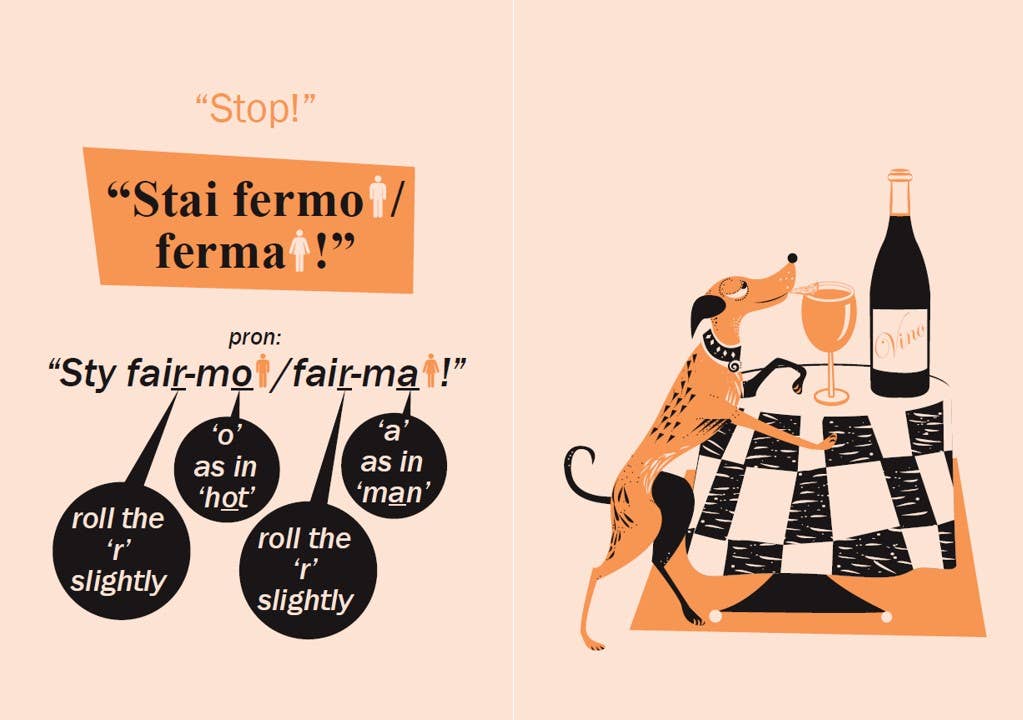 Casemate IPM - Wholesale Pets - Teach Your Dog Italian3