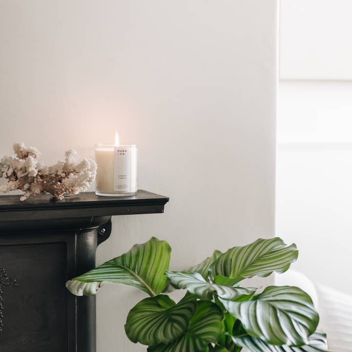 hobo + co. candles - Wholesale Pot/gevulde kaars - NIEUWE grote sojakaars met eikenhout+tabak