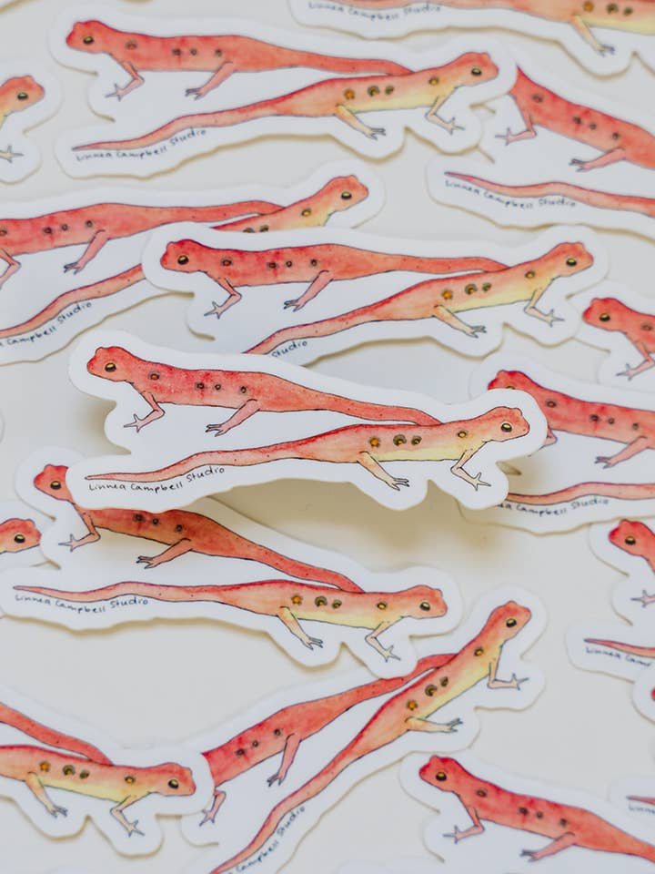 Eastern Newts Sticker for wholesale by Linnea Campbell Studio