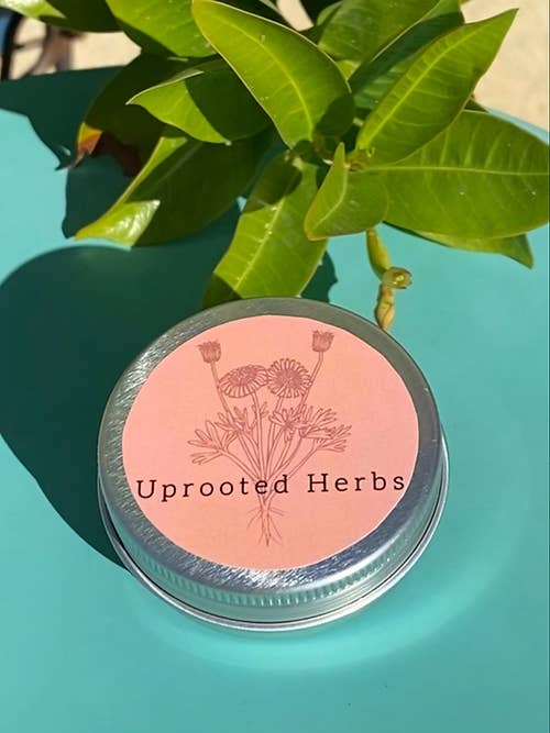 All Purpose Salve (Multi-Size) for wholesale by Uprooted Herbs
