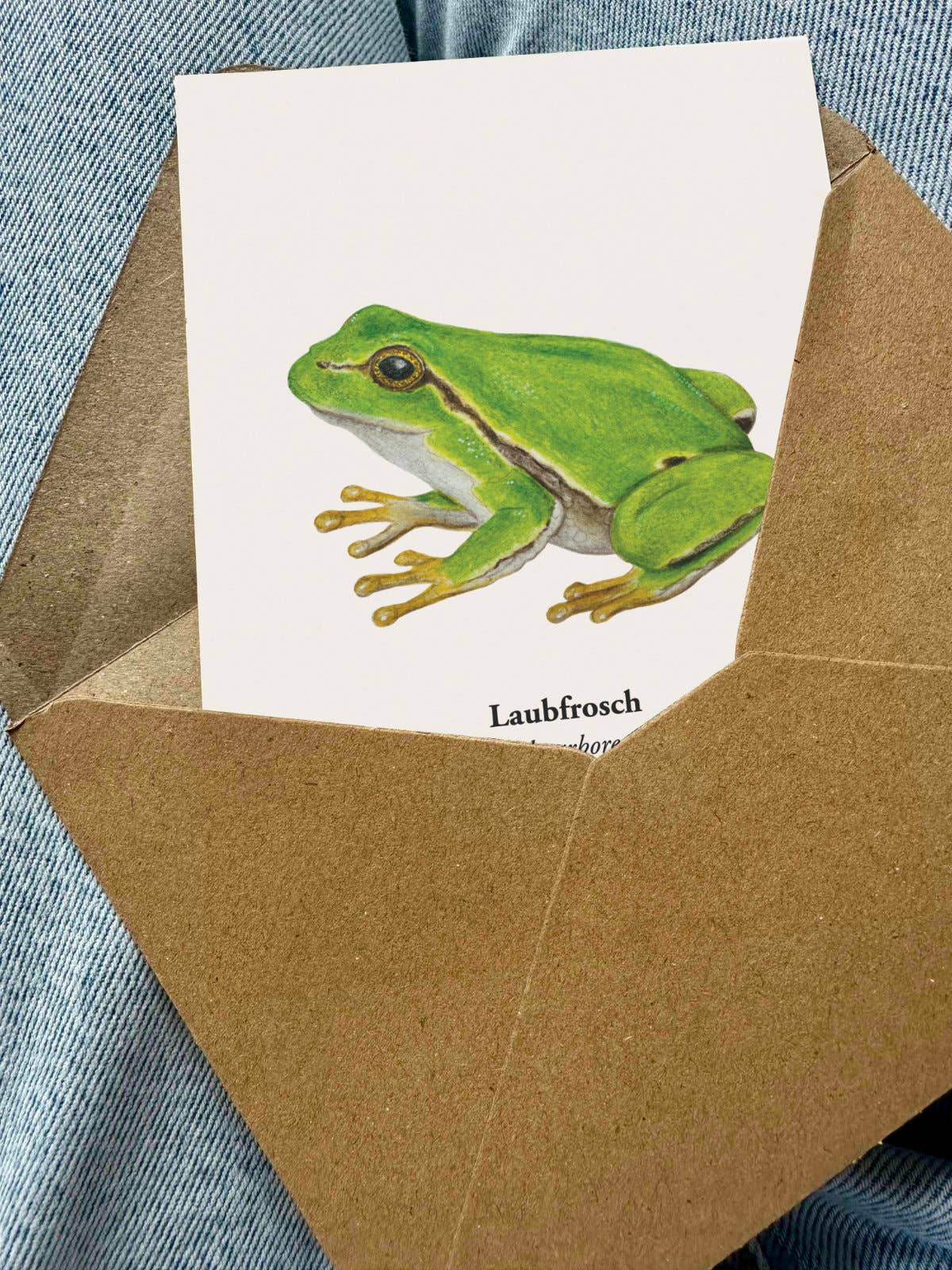 Terillu - Wholesale Postcard - Honeybee Postcard – Illustration of the Western Honeybee3