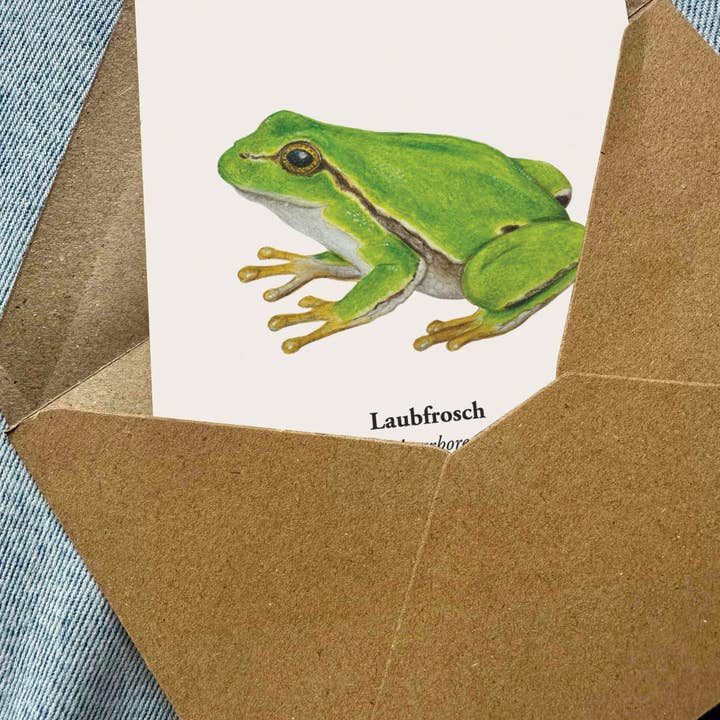 Terillu - Wholesale Postcard - Honeybee Postcard – Illustration of the Western Honeybee3