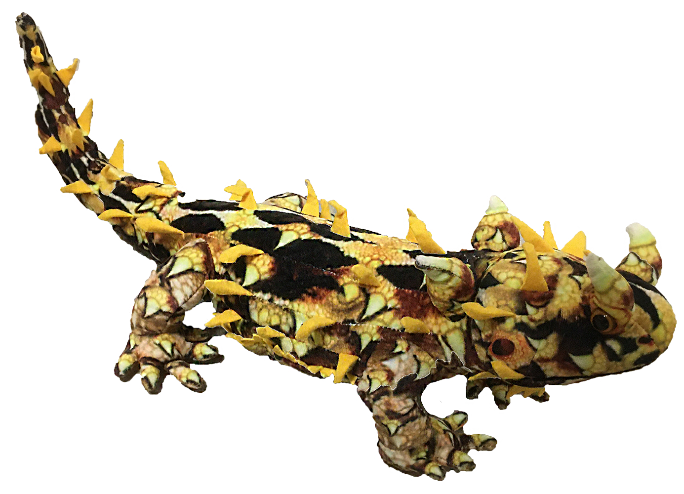 Texas Toy Distribution - Wholesale Stuffed/Plush Toy - Kids & Baby - Horned Lizard 21.65" Desert Plush Stuffed Animal1