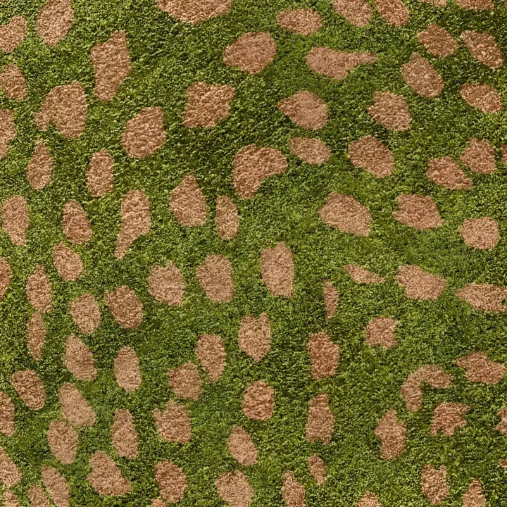 Maia Homes – wholesale Area rug – Garden of Courage Hand Tufted Rug6