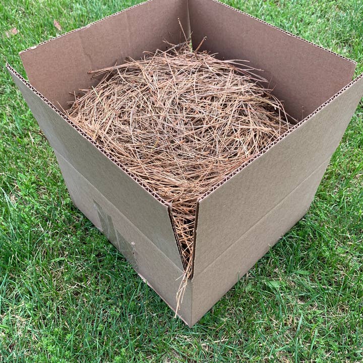 Pine Needles, Dried, Brown, 2 Pounds for wholesale by Bringoutdoorsindoors