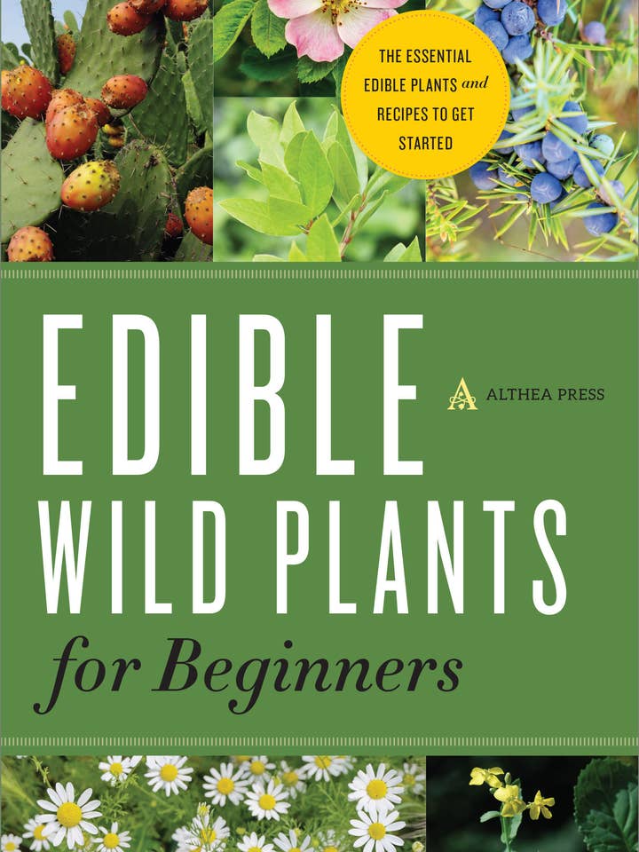 Edible Wild Plants for Beginners for wholesale by Sourcebooks