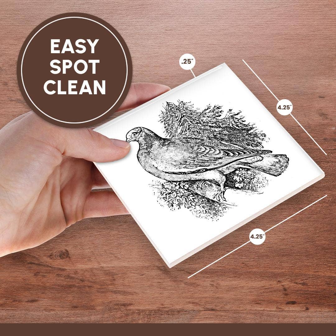 3dRose – Engroshandel Bordskånere – 3dRose, Vintage Trædue Kunst Illustration vilde dyr for fugleelsker, Bordskåner6