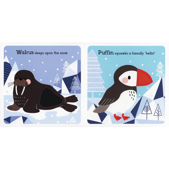 EDC Publishing - Wholesale Preschool Book (3-5) - Read, Touch, Discover: Arctic Animals3