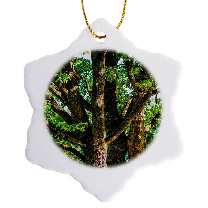 3dRose - Wholesale Ornament - 3dRose, Old oak trees in summer, Ornament