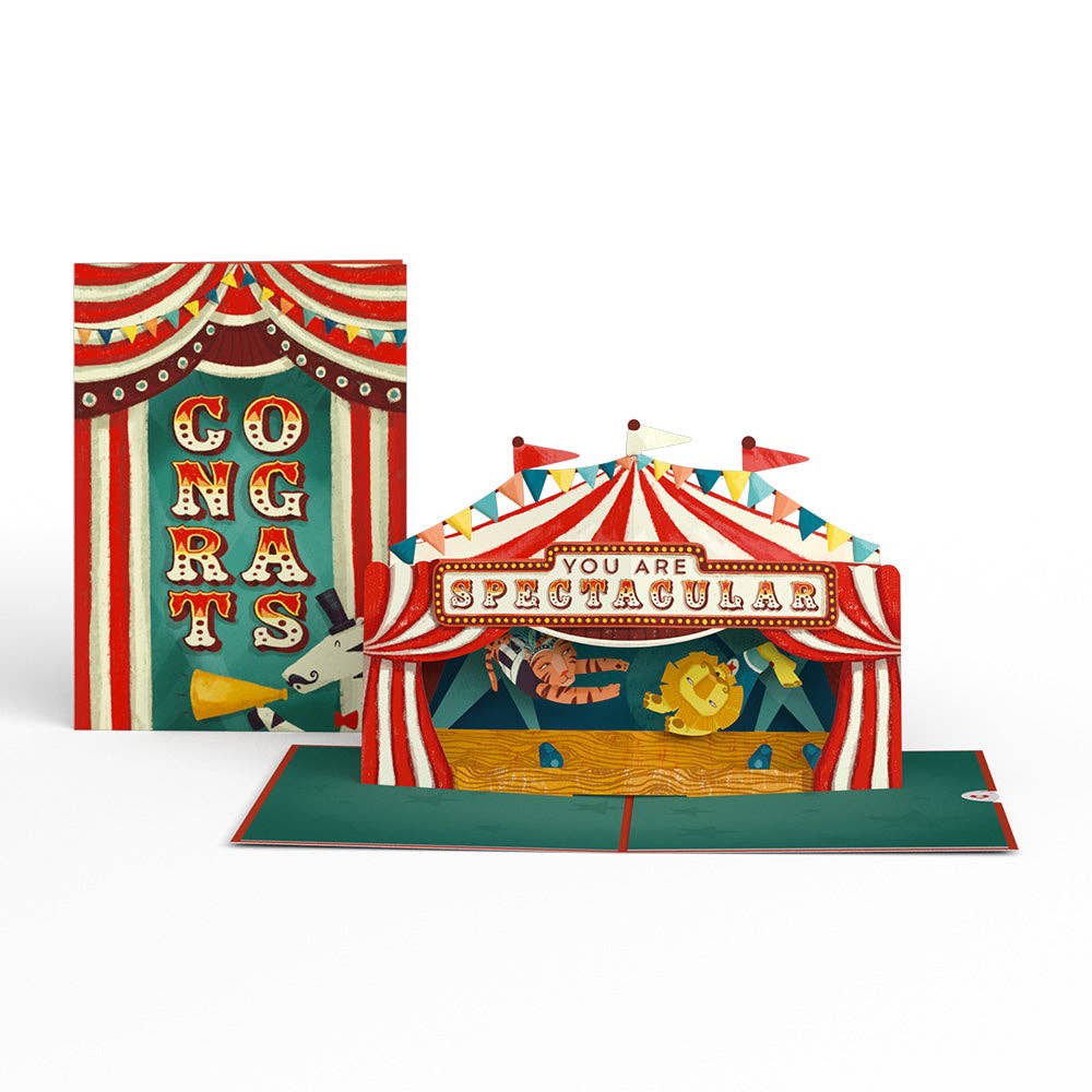 Lovepop Cards - Wholesale Congratulations Card - Congrats, You Are Spectacular 5''x7'' Card, Pop-Up Cards4