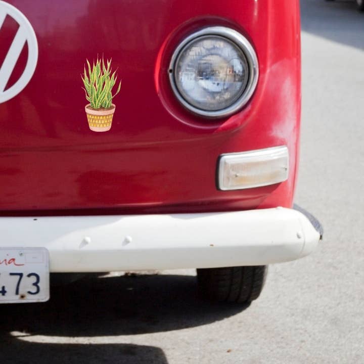 Plant Posse - Wholesale Sticker - Snake Plant Sticker9