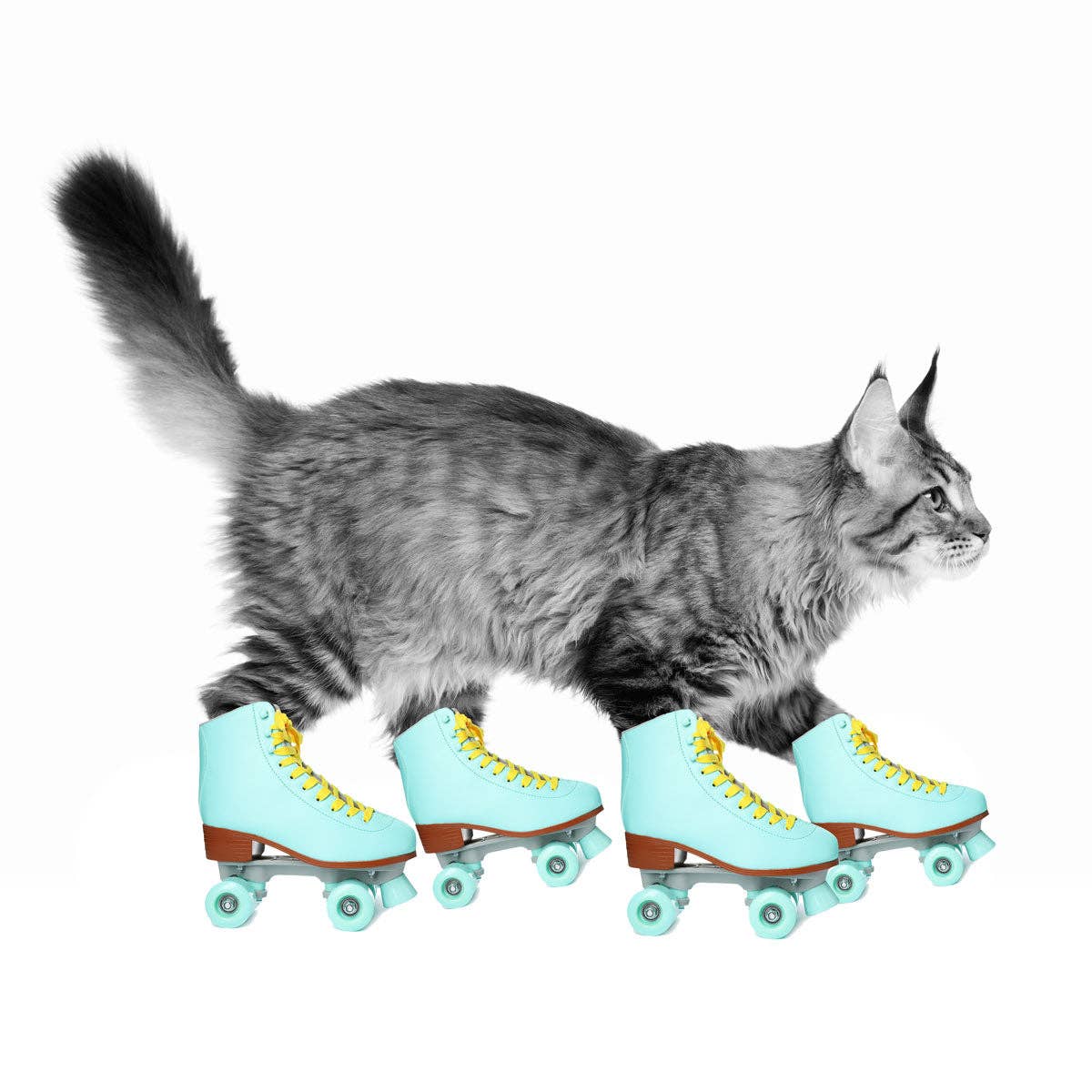 GRAASI - Wholesale Flavored/Infused Water (Non-Carbonated) - Barley Grass Water | 12 Bottles7