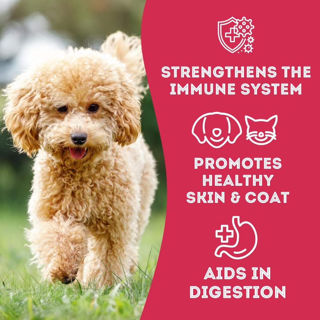 The Granville Island Pet Treatery (USA) - Wholesale Pet Treats - Dog - Duck & Cranberry Soft Dog Treats: Chewy & All-Natural4