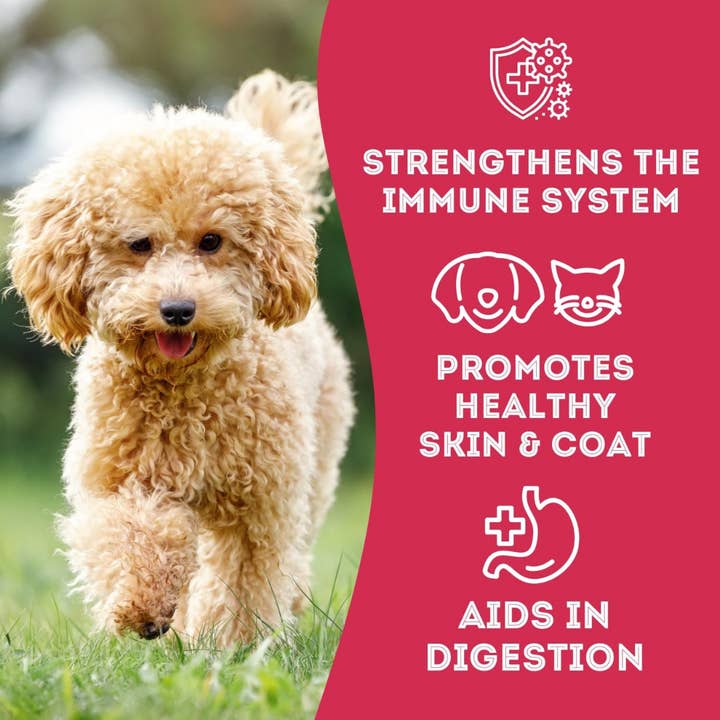 The Granville Island Pet Treatery (USA) - Wholesale Pet Treats - Dog - Duck & Cranberry Soft Dog Treats: Chewy & All-Natural4