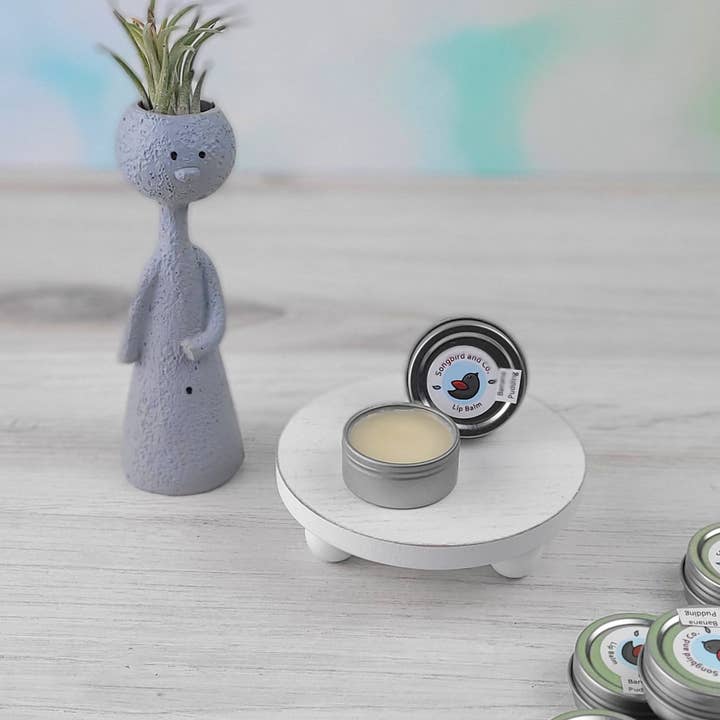 Lip Balm for wholesale by Songbird and Co