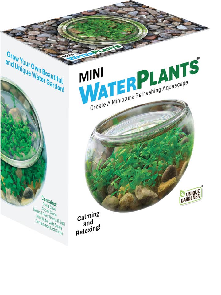 Mini WaterPlants Aquatic Terrarium for wholesale by Silver Circle Products