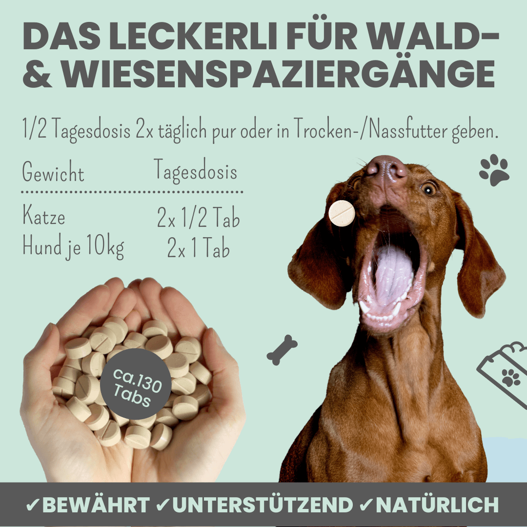 Noms+ – Engroshandel Supplement til kæledyr - Kat/hund – Cistus Tabs – Naturlig cistus-godbid til sæsonen1