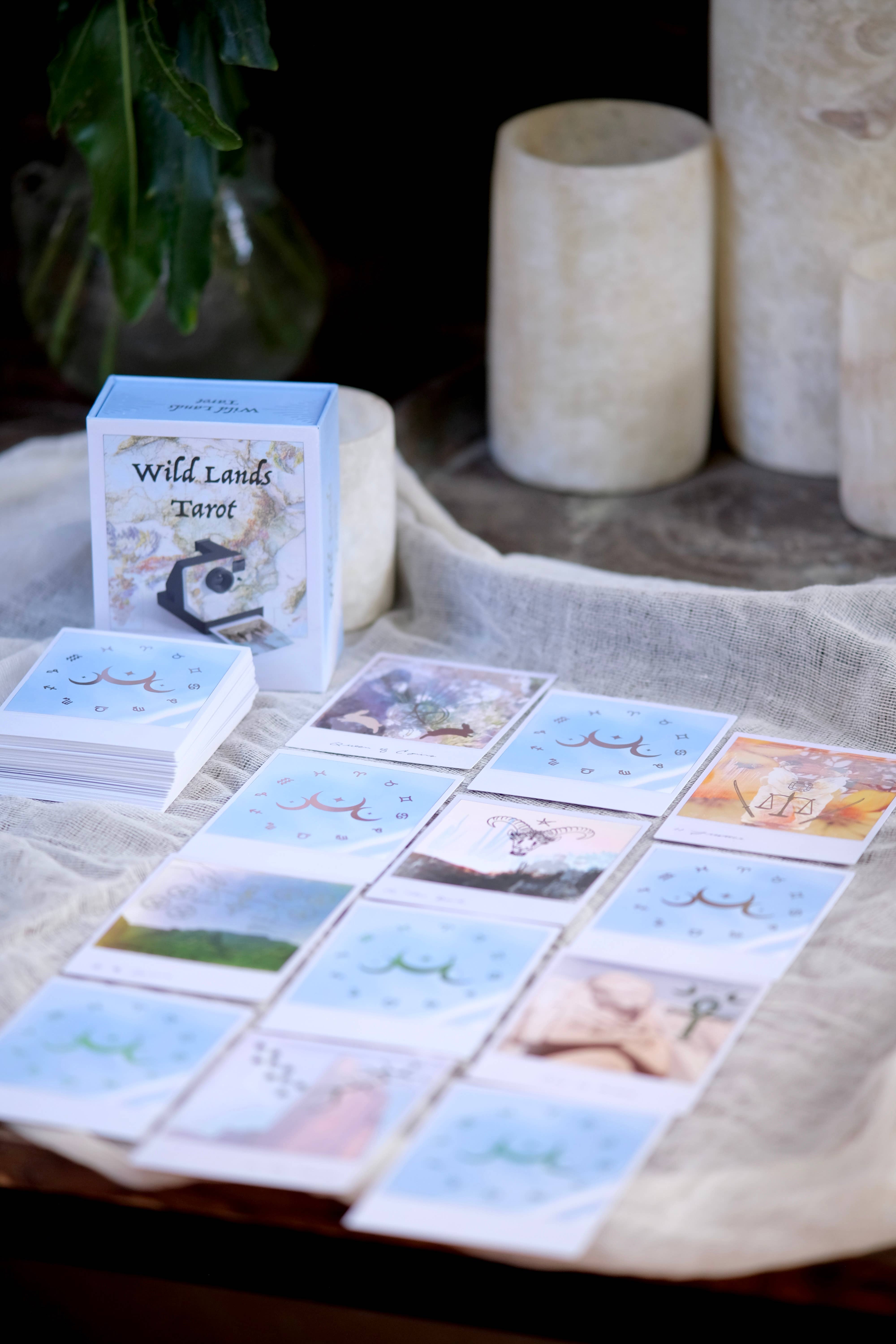 REMOVED BRAND - Wholesale Tarot Cards - Wild Lands Tarot2