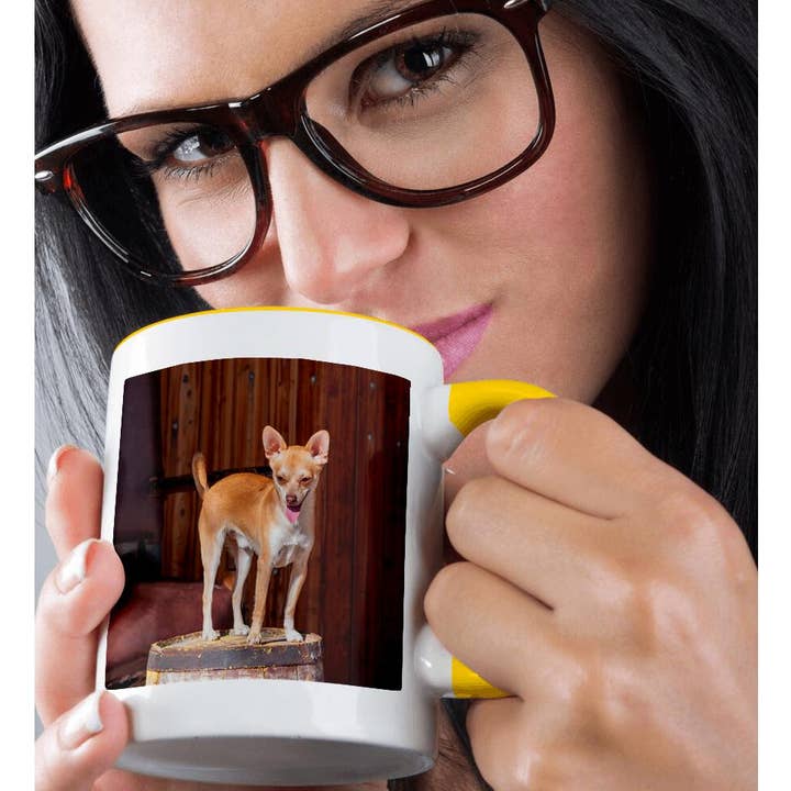 3dRose - Wholesale Coffee Mug - 3dRose, Chihuahua standing on a wooden barrel, Mug1