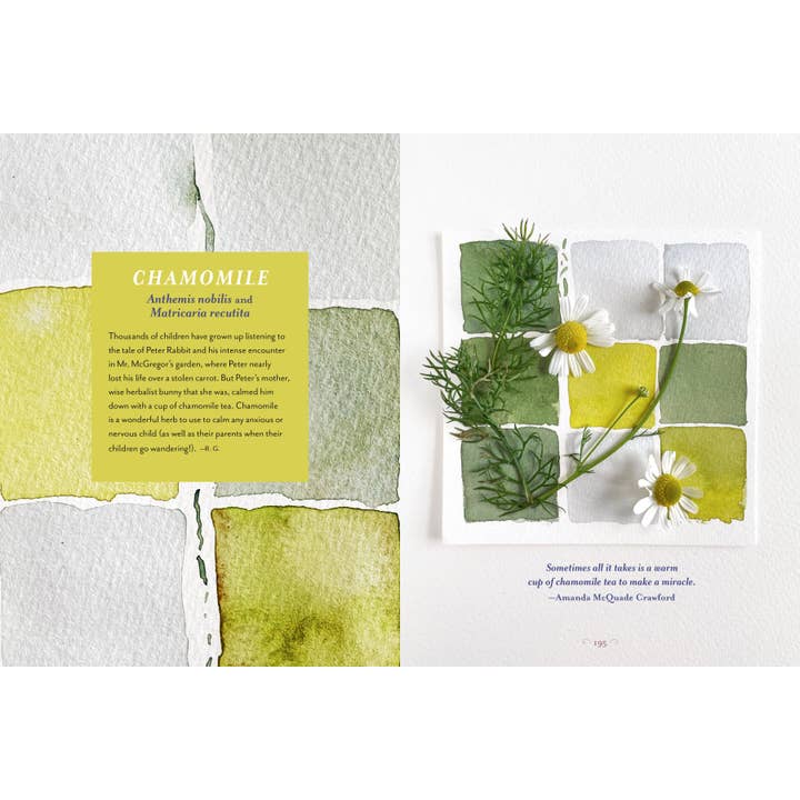 Hachette Book Group - Wholesale Nature & Outdoors - The Generosity Of Plants4