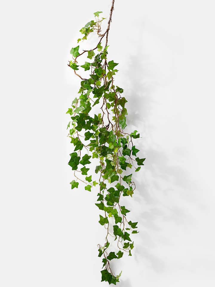 5ft Green Ivy Vine for wholesale by Jamali Garden