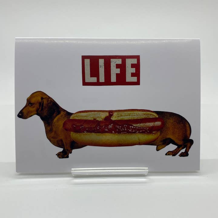 Tarjeta de vida para salchichas Weiner Dog/Dachshund para venta al por mayor de Maureen Shields